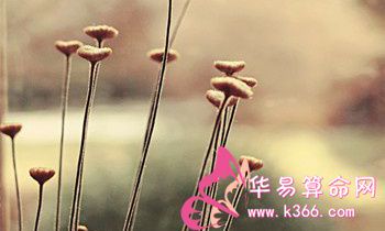 属兔的人让人最反感的是什么