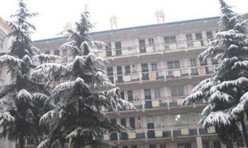 属兔的人适合学习什么外国语言