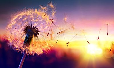 1962年属虎的人2022年运程