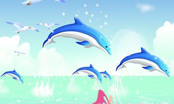 属兔的效率怎么样