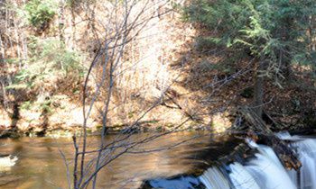 属兔的人倾家荡产想做的事是什么