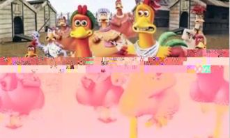 和鸡有关的电影