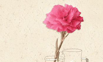 属兔的人会因为什么疯狂