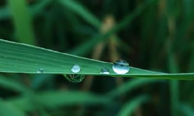 2021年雨水要做什么，不能做什么？雨水节气有什么禁忌？