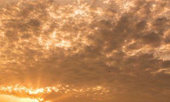 属兔的人最致命的缺点是什么