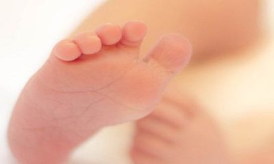 2022年虎年不适合生子的生肖