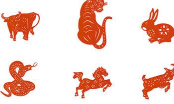 属兔的人格能从什么花中看出来