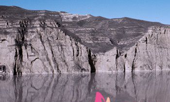 属兔的人如何与同事相处