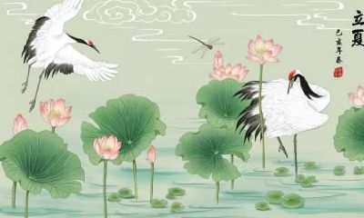 雨水节气有什么记述？雨水节气相关有什么谚语？