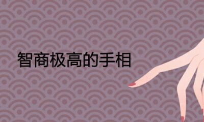 智力非常高的手相