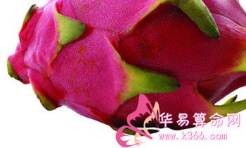 属兔的人把什么放在首位？