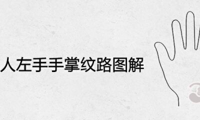 男生右手手掌纹路图解