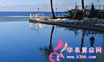 属兔的人有哪些优点和缺点？