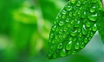 2018年寒露节气是哪天？寒露有什么忌讳？当天的卦象好吗？