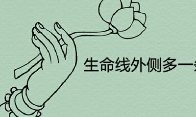 生命线两侧多一条线是啥线