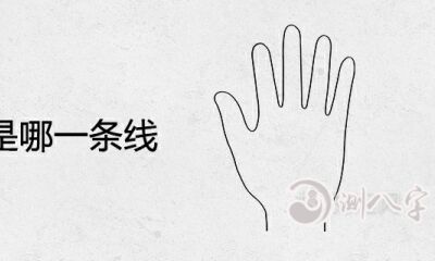爱情线是哪一条线