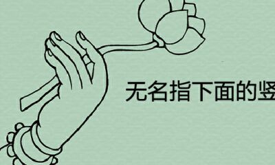 左手无名指下边的竖线代表哪些手相运势