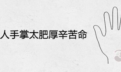女人手掌太肥大艰辛命是真是假