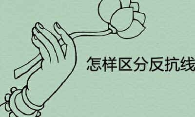 如何区别反抗线和双智慧线