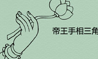 君王手相三角令旗纹代表什么意思