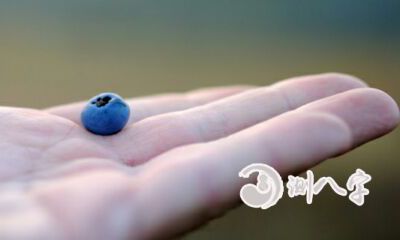 2个斗的女人运势怎样