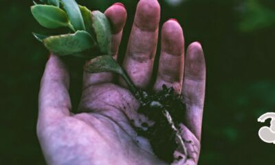 出轨男人手相线怎样的详解