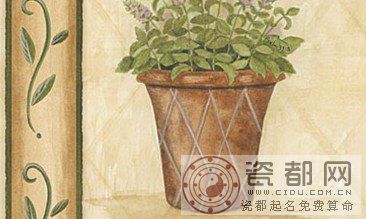 生肖虎的职业潜能