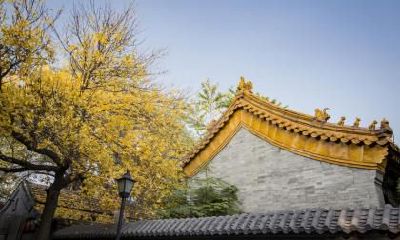 立春是二十四节气中的第几个节气？立春后一个节气是什么？