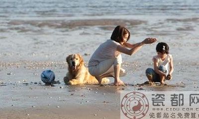 生肖虎最让人讨厌的地方