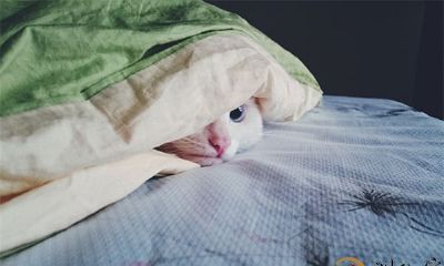 梦见逃跑躲藏还是被发现