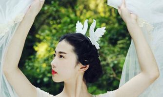 2014年生肖虎配对表