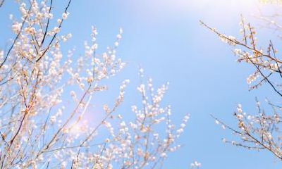 2020年庚子年躲春化太岁的具体时间，立春躲春躲几个小时？