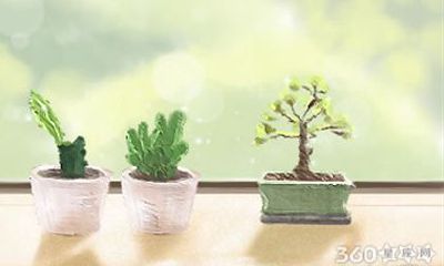 十二生肖虎的性格特征是什么？