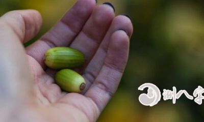 生命线绕到拇指后才有哪些观点