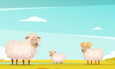 属羊的人鬼节出生命好吗？属羊人几月出生命最不好