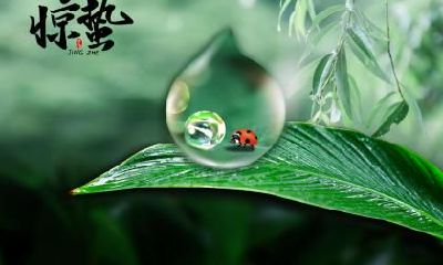 2020鼠年雨水节气在什么时候？2020-2037年雨水时间