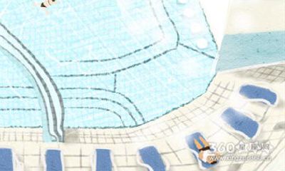 执着！论十二生肖的持久战指数