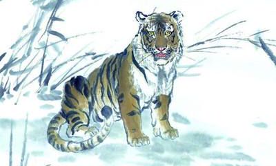 2017年5月生肖虎财气运势