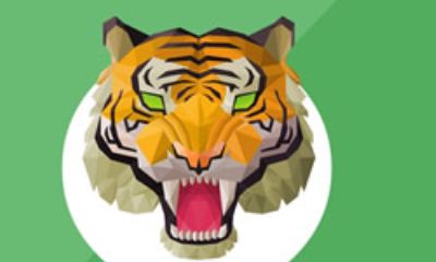 2015下半年生肖虎财运解析