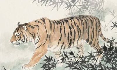 属虎的人2017年多大，属虎的今年多大