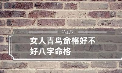 女人青鸟命格好不好 八字命格
