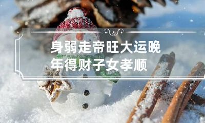 身弱走帝旺大运 晚年得财子女孝顺
