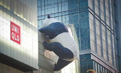 梦见爬墙时被人拽下来了