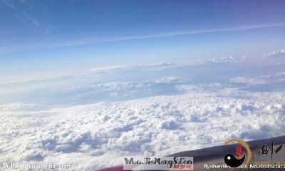 梦见自己爬到高处