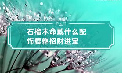 石榴木命戴什么配饰 貔貅招财进宝
