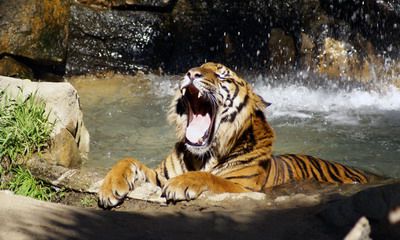 农历2022年有闰月吗是几月？农历闰月几年一次？