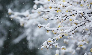 2022年冬季宜建房动土的好日子一览表