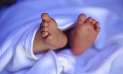 马年宝宝起名取名大全姓彭