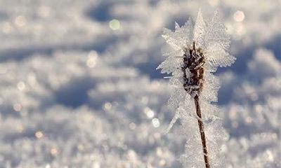 五行缺木八字喜土怎么起名？什么是五行八字？