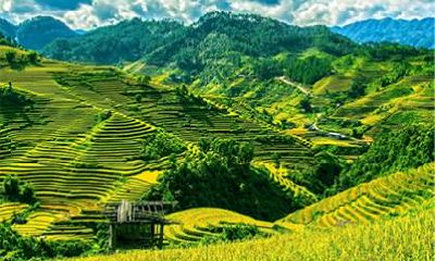 宝宝喜神为木怎么取名？喜用神取名有什么好处？